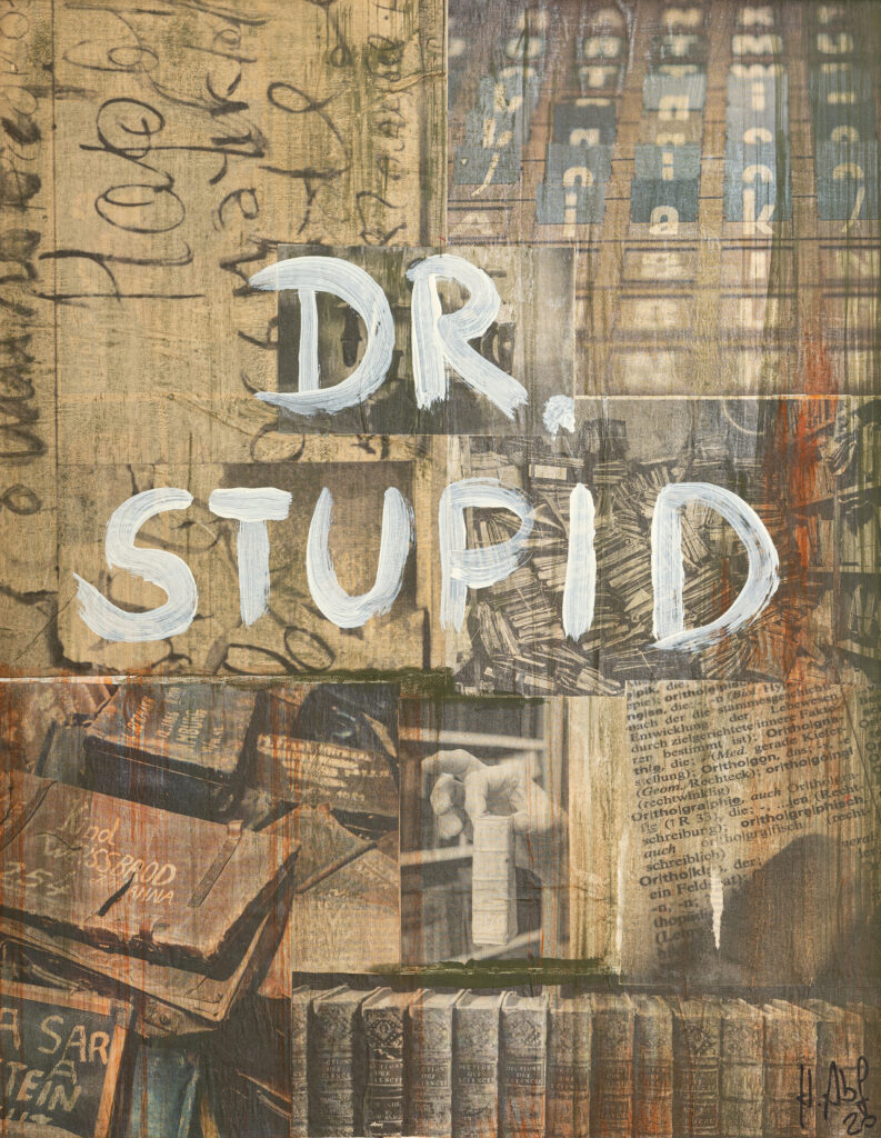 Collage aus übereinander geschichteten Texten und Buchbildern mit den großen gemalten Worten „Dr. Stupid“ in der Mitte.